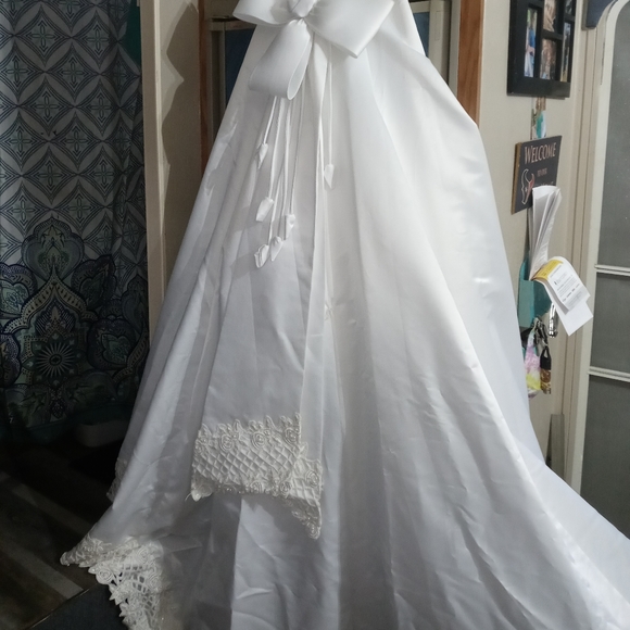 David's Bridal wedding gown with veil - Picture 3 of 11